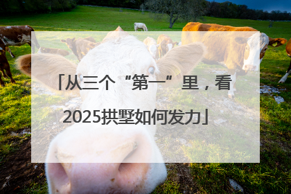 从三个“第一”里，看2025拱墅如何发力