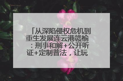 从深陷侵权危机到重生发展连云港赣榆：刑事和解+公开听证+定制普法，让玩具公司回到正轨