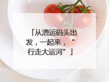 从漕运码头出发，一起来，“行走大运河”