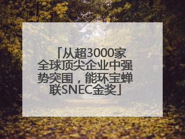 从超3000家全球顶尖企业中强势突围，能环宝蝉联SNEC金奖