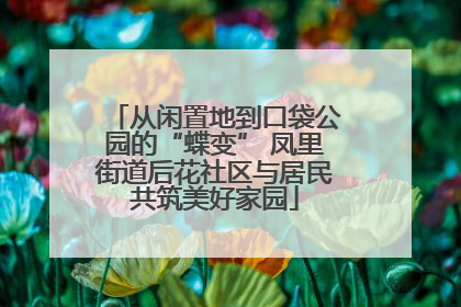 从闲置地到口袋公园的“蝶变” 凤里街道后花社区与居民共筑美好家园