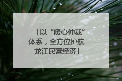 以“暖心仲裁”体系，全方位护航龙江民营经济
