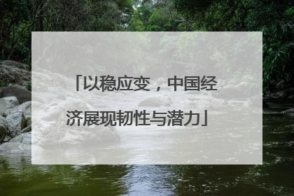 以稳应变，中国经济展现韧性与潜力