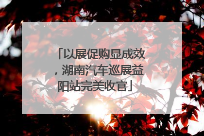 以展促购显成效，湖南汽车巡展益阳站完美收官