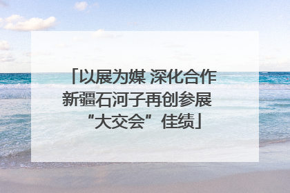以展为媒 深化合作 新疆石河子再创参展“大交会”佳绩