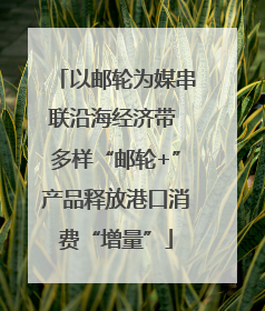 以邮轮为媒串联沿海经济带 多样“邮轮+”产品释放港口消费“增量”