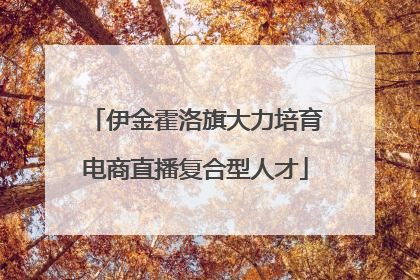 伊金霍洛旗大力培育电商直播复合型人才