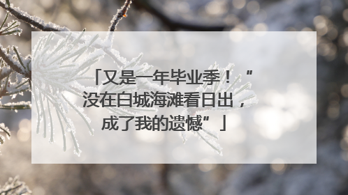 又是一年毕业季！“没在白城海滩看日出，成了我的遗憾”