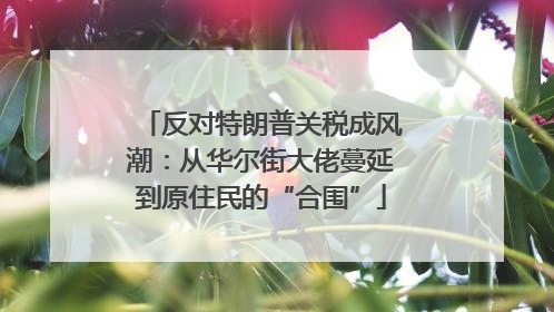 反对特朗普关税成风潮：从华尔街大佬蔓延到原住民的“合围”