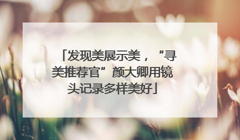 发现美展示美，“寻美推荐官”颜大卿用镜头记录多样美好