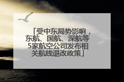 受中东局势影响，东航、国航、深航等5家航空公司发布相关航线退改政策