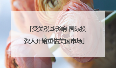 受关税战影响 国际投资人开始重估美国市场