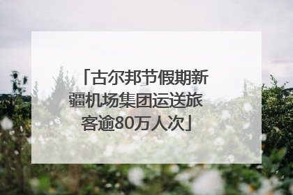 古尔邦节假期新疆机场集团运送旅客逾80万人次