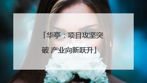 华亭：项目攻坚突破 产业向新跃升