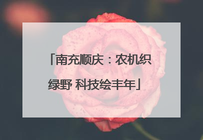南充顺庆：农机织绿野 科技绘丰年
