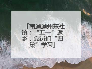 南通通州东社镇：“五一”返乡，党员们“归巢”学习
