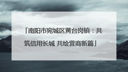 南阳市宛城区黄台岗镇：共筑信用长城 共绘营商新篇