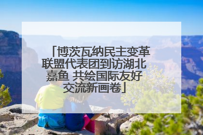 博茨瓦纳民主变革联盟代表团到访湖北嘉鱼 共绘国际友好交流新画卷