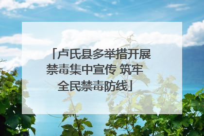 卢氏县多举措开展禁毒集中宣传 筑牢全民禁毒防线