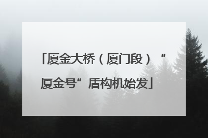 厦金大桥（厦门段）“厦金号”盾构机始发