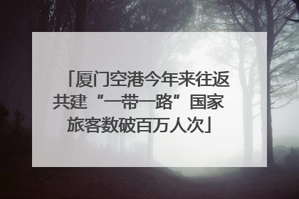 厦门空港今年来往返共建“一带一路”国家旅客数破百万人次