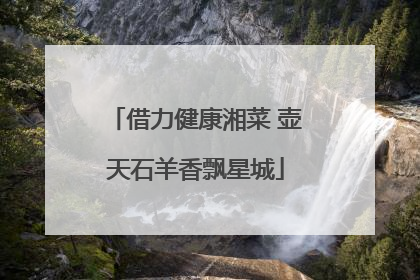 借力健康湘菜 壶天石羊香飘星城