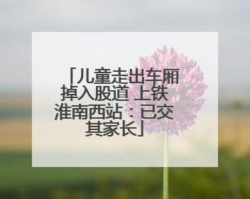 儿童走出车厢掉入股道 上铁淮南西站：已交其家长