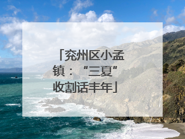 兖州区小孟镇：“三夏”收割话丰年
