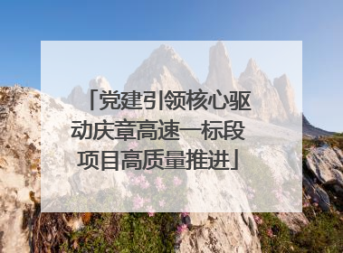 党建引领核心驱动庆章高速一标段项目高质量推进