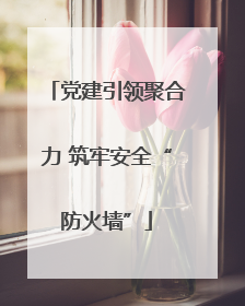 党建引领聚合力 筑牢安全“防火墙”