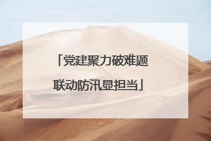 党建聚力破难题 联动防汛显担当
