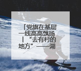 党旗在基层一线高高飘扬丨“去有村的地方”——湖南有一群青年党员这样选择
