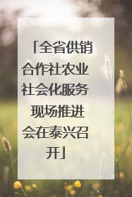 全省供销合作社农业社会化服务 现场推进会在泰兴召开