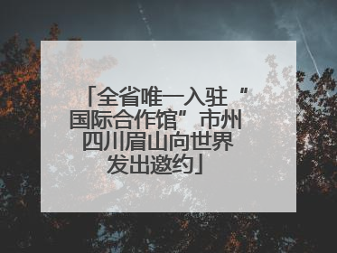 全省唯一入驻“国际合作馆”市州 四川眉山向世界发出邀约