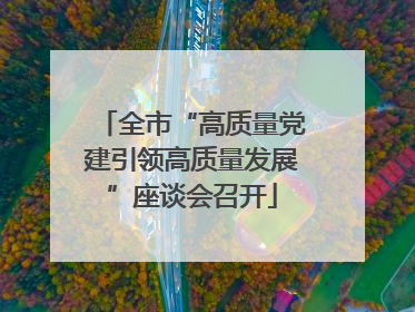 全市“高质量党建引领高质量发展”座谈会召开