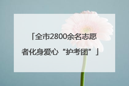 全市2800余名志愿者化身爱心“护考团”