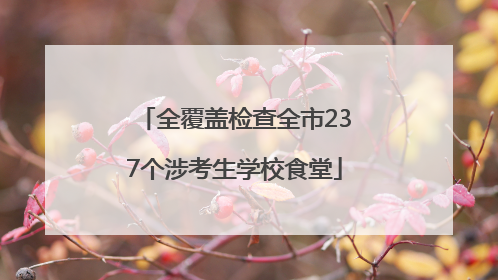全覆盖检查全市237个涉考生学校食堂