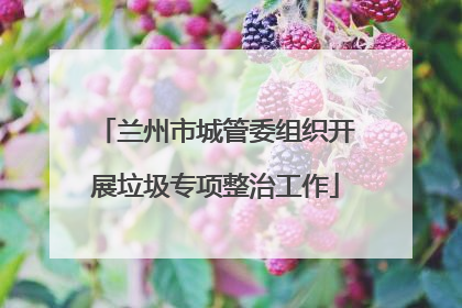 兰州市城管委组织开展垃圾专项整治工作
