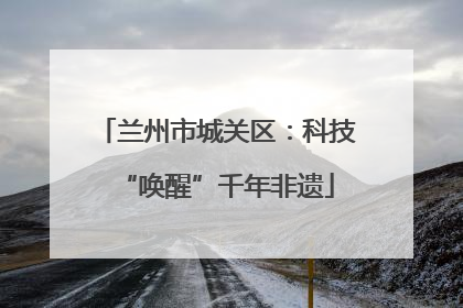 兰州市城关区：科技“唤醒”千年非遗