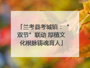 兰考县考城镇：“双节”联动 厚植文化根脉铸魂育人