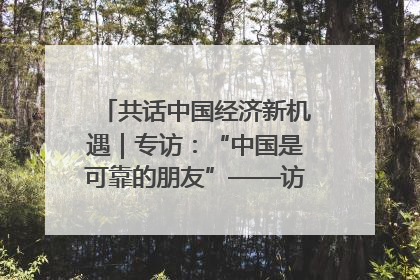 共话中国经济新机遇｜专访：“中国是可靠的朋友”——访马来西亚种植及原产业部副部长陈泓缣