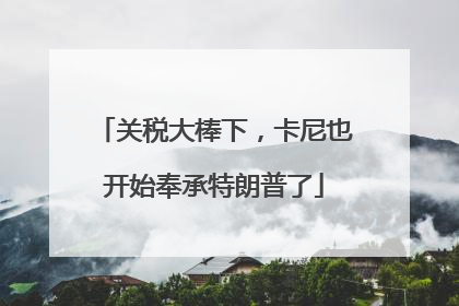 关税大棒下，卡尼也开始奉承特朗普了