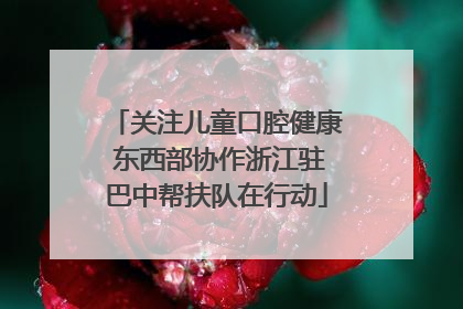 关注儿童口腔健康 东西部协作浙江驻巴中帮扶队在行动