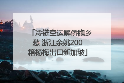 冷链空运解侨胞乡愁 浙江余姚200箱杨梅出口新加坡