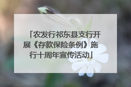 农发行祁东县支行开展《存款保险条例》施行十周年宣传活动