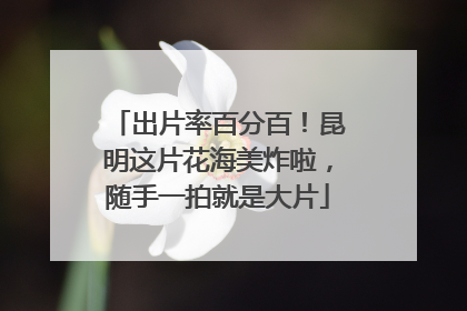 出片率百分百！昆明这片花海美炸啦，随手一拍就是大片