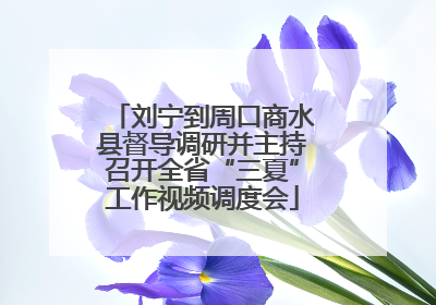 刘宁到周口商水县督导调研并主持召开全省“三夏”工作视频调度会