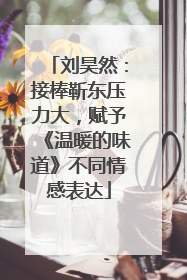 刘昊然：接棒靳东压力大，赋予《温暖的味道》不同情感表达