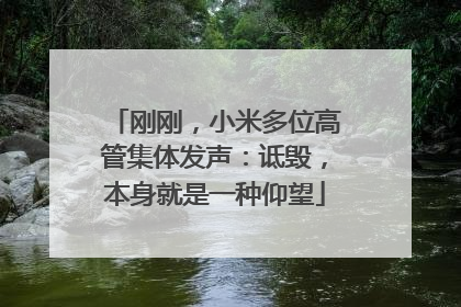 刚刚，小米多位高管集体发声：诋毁，本身就是一种仰望