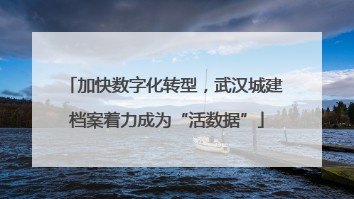 加快数字化转型，武汉城建档案着力成为“活数据”